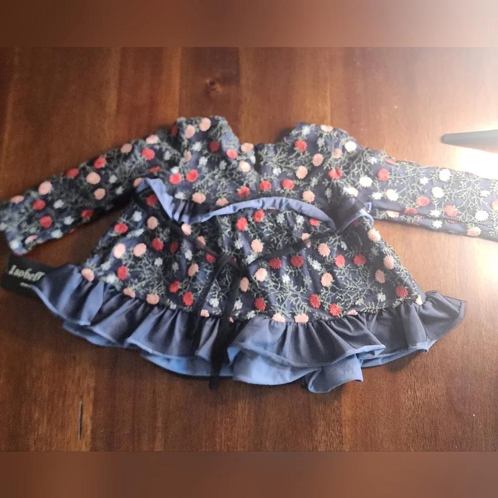 NWT Isobella & Chloe Embroidery‎ Floral Mesh Dress 2T